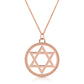 Rose gold star of David pendant necklace coin from the wandering jewel